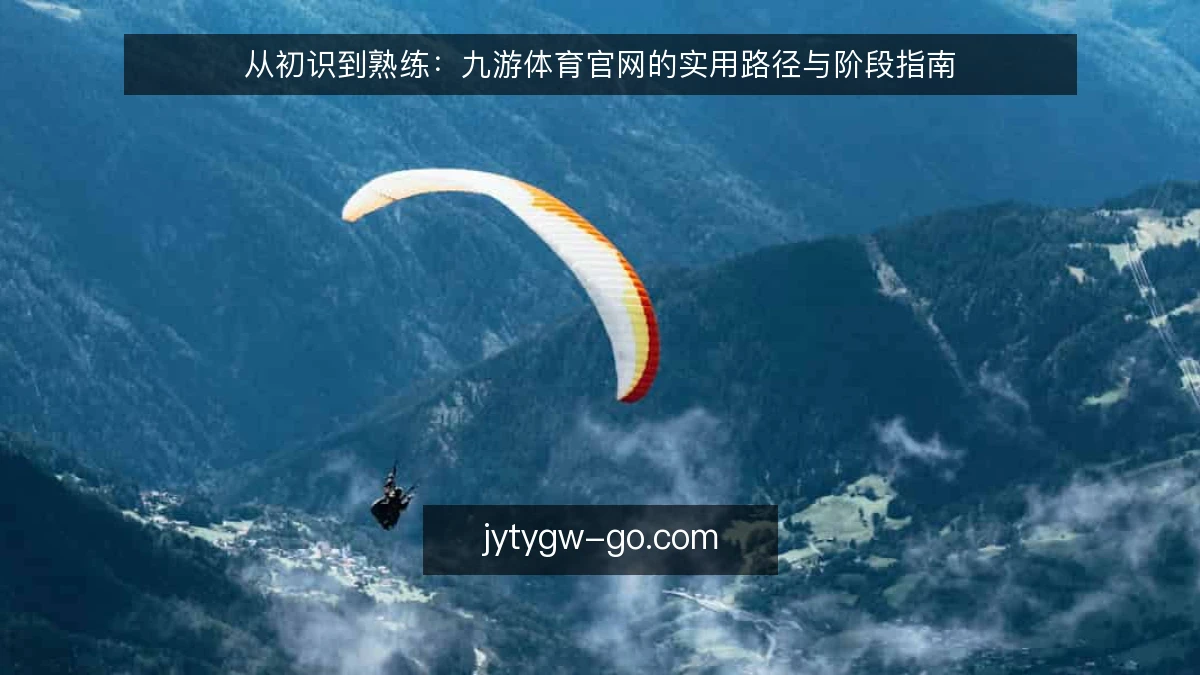 从初识到熟练:九游体育官网的实用路径与阶段指南