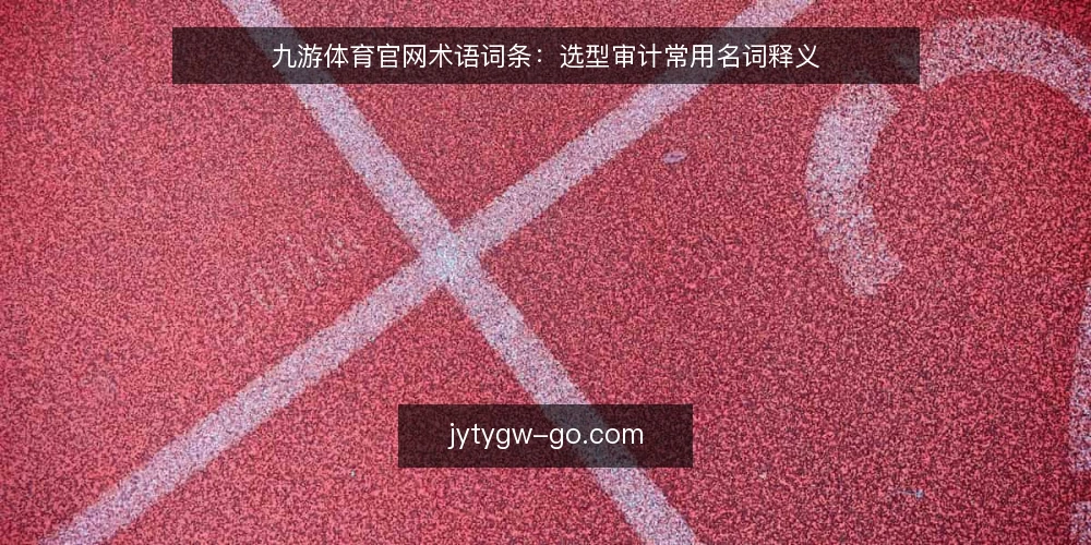 九游体育官网术语词条：选型审计常用名词释义 — 为何现在做术语审计 配图