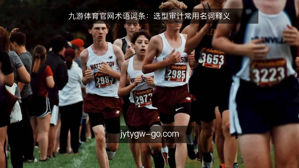 九游体育官网术语词条：选型审计常用名词释义
